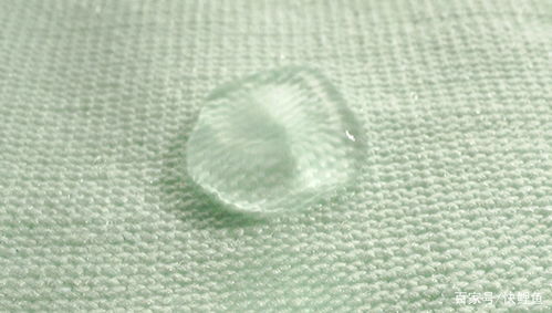 首发丨打造纺织业数字供应链生态，鹿优数科获亿元A轮融资